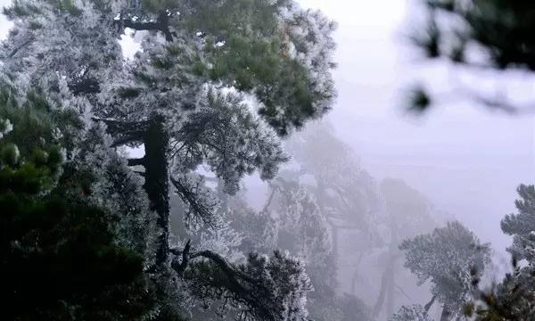 一个承诺