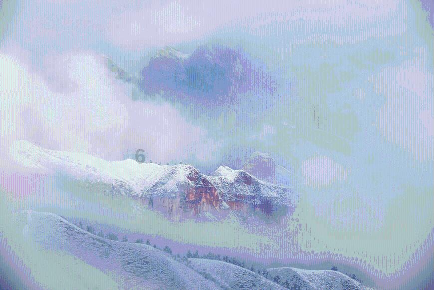森系丛林