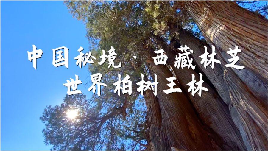 上古世纪